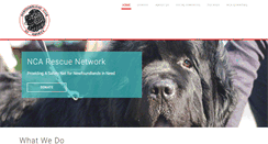 Desktop Screenshot of ncarescue.org
